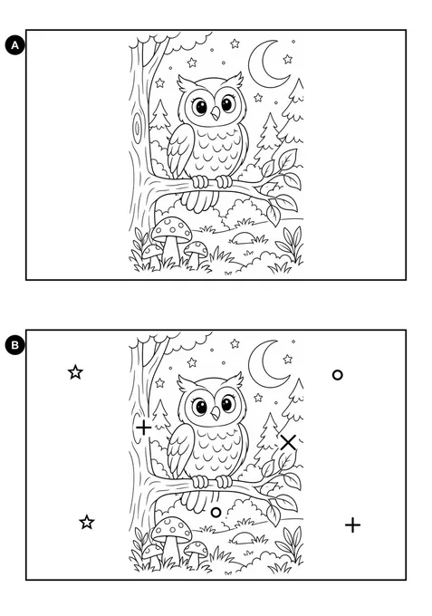 Diferenças na floresta da coruja