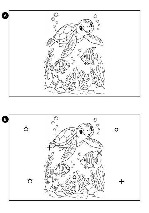 Diferenças da tartaruga